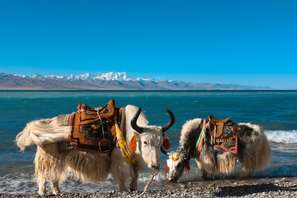 Travel Guide to Namtso Travel Guide to Namtso